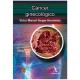 Cáncer Ginecológico (Alfil)
