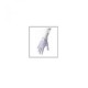 Guante para terapia K-Glove (HomeCare)