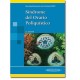 Síndrome del ovario poliquístico (Panamericana)