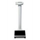 Báscula de Columna Digital 769 con Estadimetro Incluido (SECA)