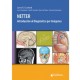 Netter. Introducción al Diagnostico por Imágenes (Journal)