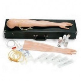 Kit Brazo femenino de entrenamiento multi-venoso 375-50001