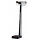 Báscula Mecánica de Columna con Estadímetro R340101 (Health o Meter)